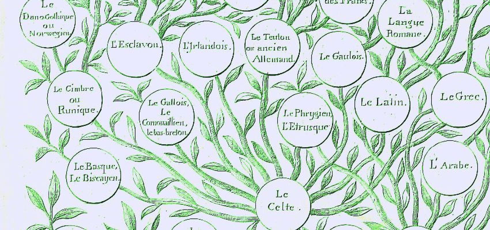 Arbre généalogique des langues mortes et vivantes, dressé d'après les principes de l'auteur du Monde primitif sur la génération des langues par Félix Gallet - - BnF, Gallica
