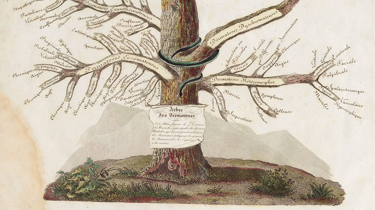Arbre des dermatoses. Clinique de l’hôpital Saint-Louis ou traité complet des maladies de la peau